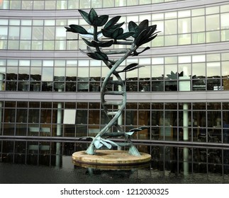 19th October 2018 Dublin. Fingal County Council Glass Building And Tree Sculpture In Blanchardstown.