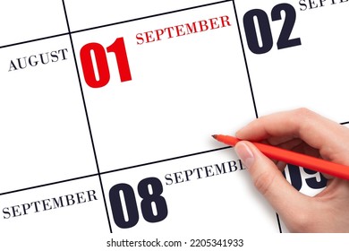 1st Day Of September. A Hand Holding A Red Pen And Pointing On The Calendar Date September 1. Red Calendar Date, Copy Space, Mockup. Autumn Month, Day Of The Year Concept.