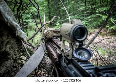 1st Person View Of An M4A1 Aifrsoft Replica During An Airsoft Game In The Woods