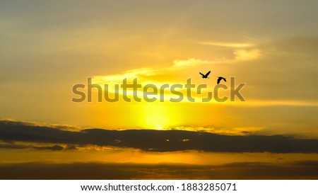 2 Birds flying home at sunset, photo taken at Singapore Yishun area