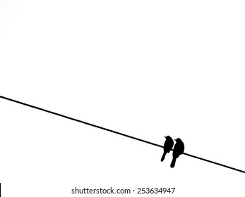 2 Birds On Wire