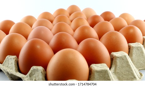 2 Dozen Fresh Eggs, Arranged In A Paper Panel