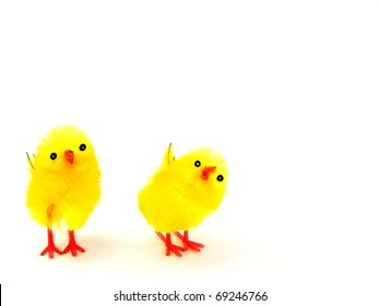 2 easter chicks on a white background with copy space