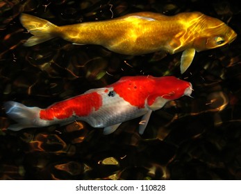 2 Koi In An Indoor Pond