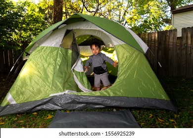 2 Little Boys Play Together In Their Backyard In A Green Camping Tent