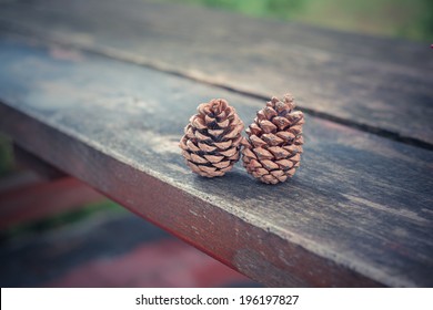 2 Pine Cone Represented by Couples