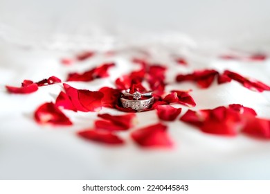 2 rings with diamonds overlaid on the bed Surrounded by many red rose petals. beautiful and glittering - Powered by Shutterstock