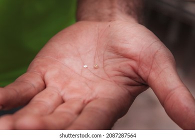 2 Small Raw Diamonds In The Hand Of A Garimpeiro