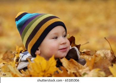 2 years old baby boy in autumn leaves in a park. Kid has fun playing in fall leaves.