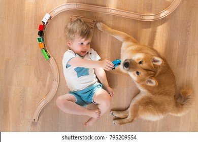 2 Years Old Child Playing With Toy Train At Home, Shiba Inu Dog Sitting Near Boy, Top View. Freindship Lifestyle Concept