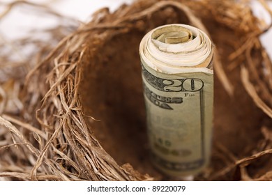 $20 Bill Representing Your Retirement Nest Egg.