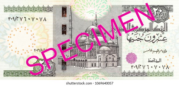 20 Egyptian Pound Bank Note Full Frame Obverse