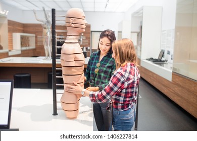 20 May 2018, Museum Of Hygiene, Dresden, Germany: Two Girls Student Learning Human Anatomy. Studying Science And Medicine