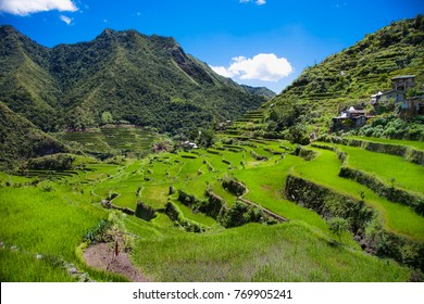 2000year Old Batad Rice Terraces Unesco Stock Photo (Edit Now) 769905241