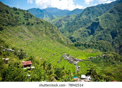 10,674 Philippine Rice Farm Images, Stock Photos & Vectors 