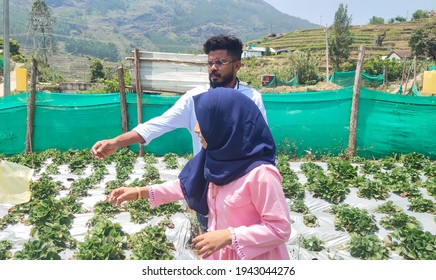 20-03-2021 Munnar Kerala India.  Young Indian Couple In A Garden