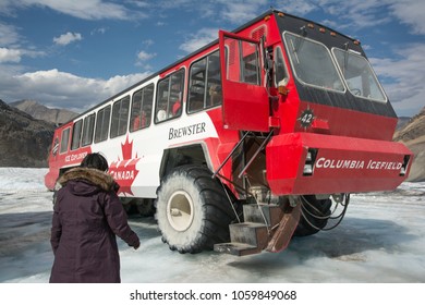 375 All Terrain Bus Images, Stock Photos & Vectors 