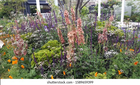 2016 Chelsea Flower Show, UK