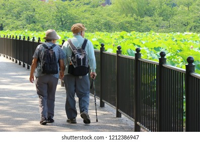 2017 JULY 13. TOKYO JAPAN. An Old Japanese Soulmate Couple Holding Hands And Walking Together.