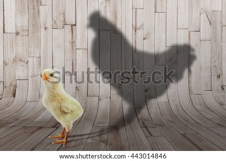 2017 new year concept,powerful shadow from  chicken