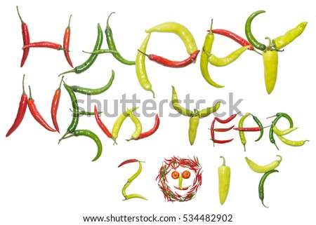 2017 - New Year Decoration by colorful chilly (White background)