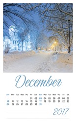 2017 Photo Calendar With Beautiful Landscape. December.