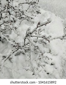 2018 Noreaster Storms