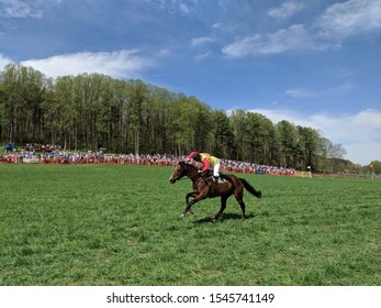 2019 Grand National Race, Maryland