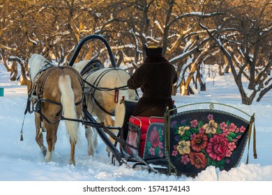 christmas sleigh ride