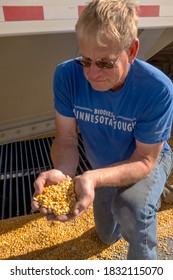 2020 Corn Harvest, Fairmont, Minnesota. Midwest Farmer Chuck Patsche Holds Just Harvested Corn. The Corn Was Transferred From The Fields By Truck And Will Be Used To Produce Biofuels And Animal Feed.