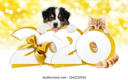 2020 Happy New Year Number Text, Dog Puppy And Cat Pet With Golden Christmas Ribbon Bow Isolated On Golden Blurred Lights Background