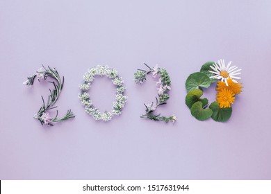 2020 Made From Natural Leaves And Flowers On Purple Background, Happy New Year Wellness And Healthy Lifestyle