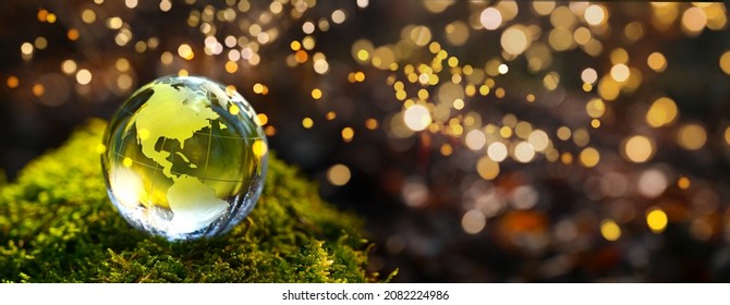 2021 to 2022 new year background. Green glass globe with green moos and golden lights - sustainable environment.