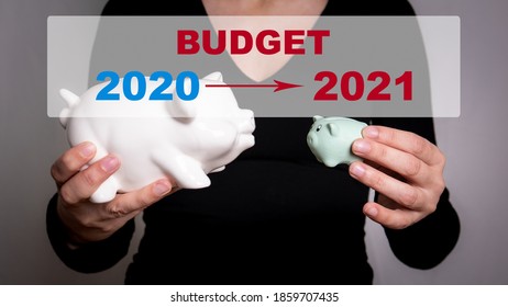 2021 Budget Concept. Two Piggy Banks In A Woman's Hands.