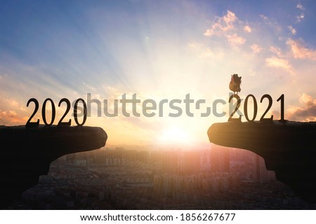 2021 concept: Silhouette of year 2021 and rooster on mountain with city sunset  background