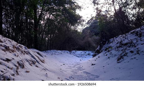 2021 Houston, TX Freeze, Bike Trail, Snow, Morning