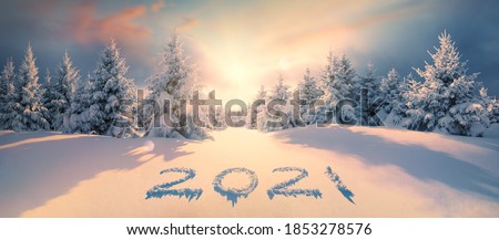 2021 on snow in winter forest