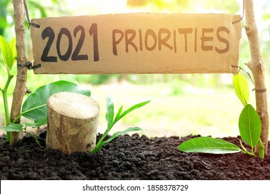 2021 Priorities Banner In Natural Background. New Year 2021 Setting Life Priority, Goal And Plan Concept.