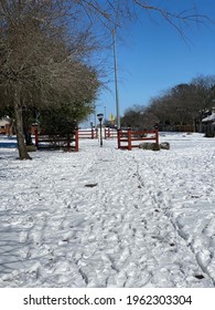 2021 Texas Snow Storm Day 3