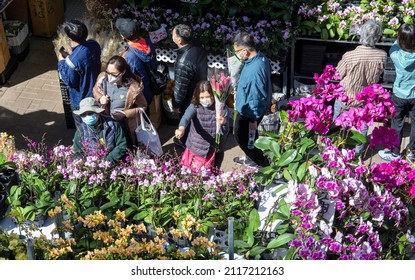 2022 Jan 30,Hong Kong.Under the spread of Omicron Variant ,People buy typical Chinese New Year themed flowers at a flower market ahead of the upcoming Lunar Chinese New Year 2022 