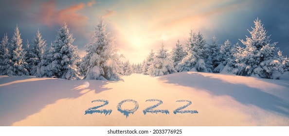 2022 on snow in winter forest - Powered by Shutterstock