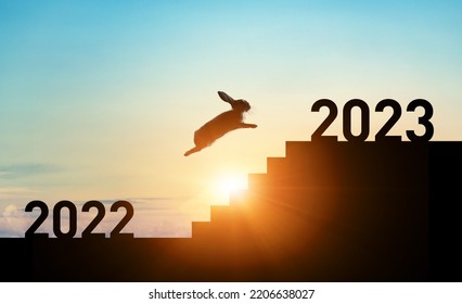 2023 New Year concept. Rabbit running up the stairs. New year's card.