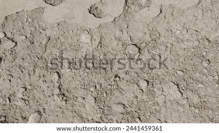 #2024, #details, #latest, #nature, #new, #old, #pattern, #texture, abstract, aged, antique, architecture, art, backdrop, background, black, blank, board, border, brown, building, cement, clean, close 