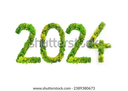 2024 , new year , written with green moss or lichen isolated on white background
