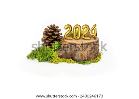 2024 tin foil balloons number on a Tree trunk cross section with stabilized lichen and a pine cone, setting for natural product display, isolated on white background