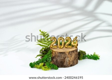 2024 tin foil balloons number on a Tree stump surrounded by moss and fern leaves  with palm shadows. Happy new year concept
