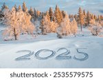 2025 written in the snow, winter holidays, landscape greeting card