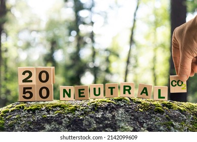 2050 Neutral Co2 Emissions - Carbon Neutral Environmental Concept