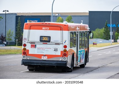 21 August 2021 - Calgary Alberta Canada - Calgary Mass Transit Bus On Street