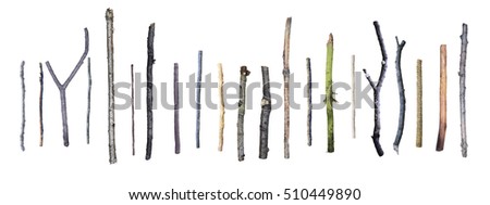 21 Isolated branches from different trees. Boughs Various colors and shapes. Twigs on a white background.